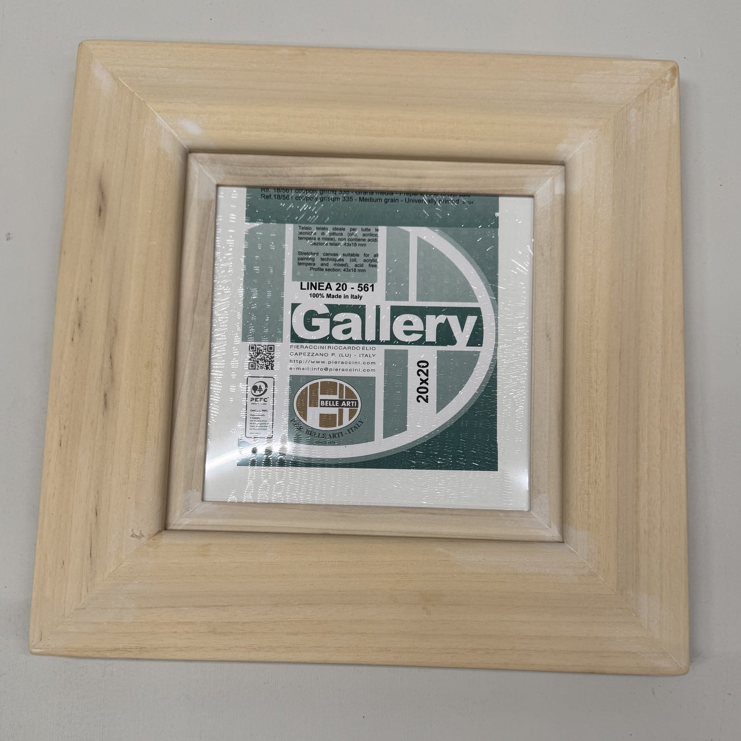 Special Offer - Reverse Swept Unpainted Frame and Canvas